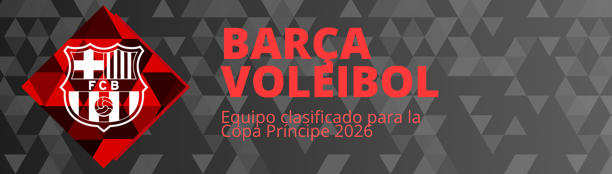 Barça Voleibol